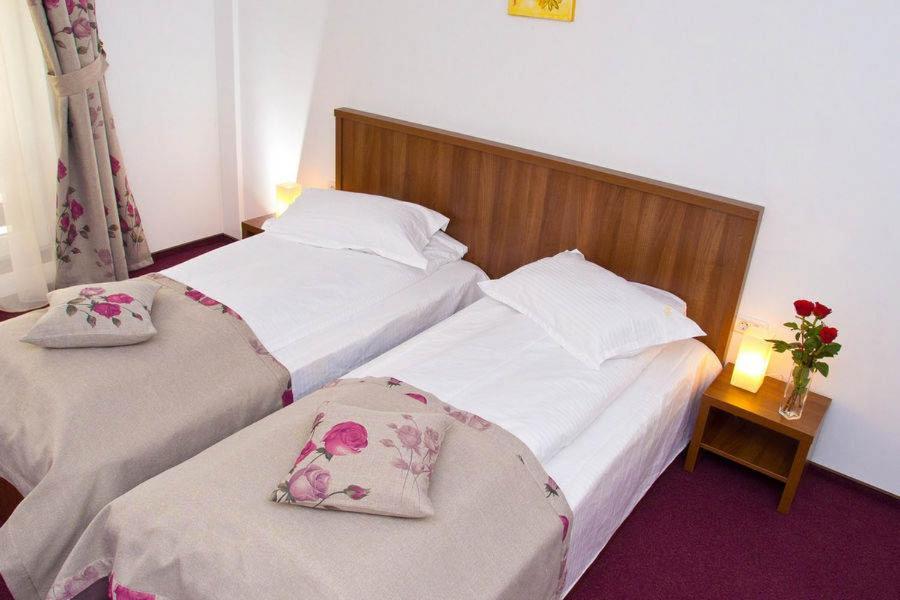 Hotel Domnitei Călimăneşti Eksteriør bilde